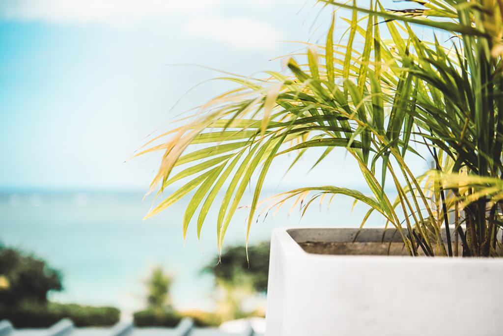 Cap Ouest Luxury Penthouse By Dream Escapes Flic en Flac Exterior foto